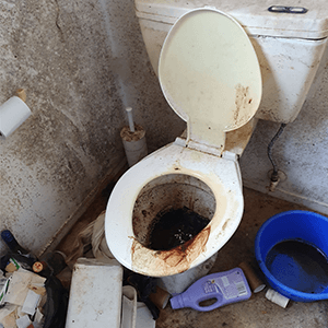 Sewage Biological Cleanup
